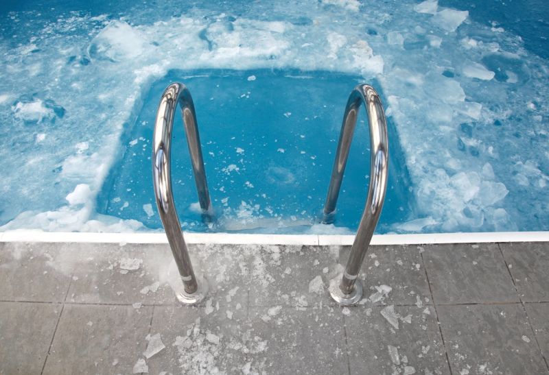 Winter Pool Protection